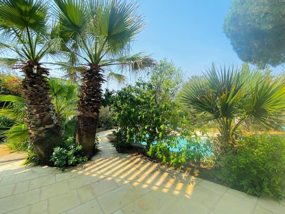 Atlantide - Somptueuse Villa Classee 4 Etoiles - Saint-Clair - Vue Exceptionnelle - Piscine Sete Exterior photo